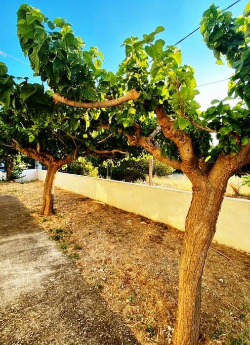 Τέσσερις Εποχές Apartment Aetos  Bagian luar foto