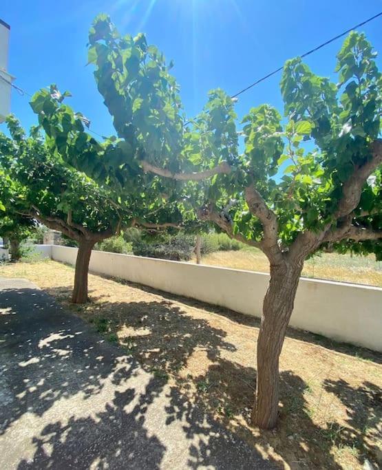 Τέσσερις Εποχές Apartment Aetos  Bagian luar foto