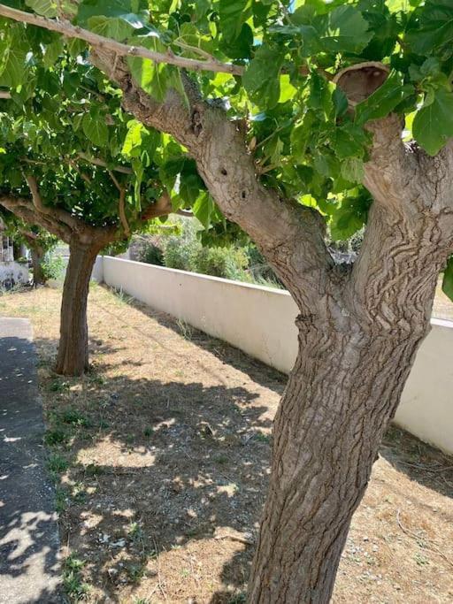 Τέσσερις Εποχές Apartment Aetos  Bagian luar foto